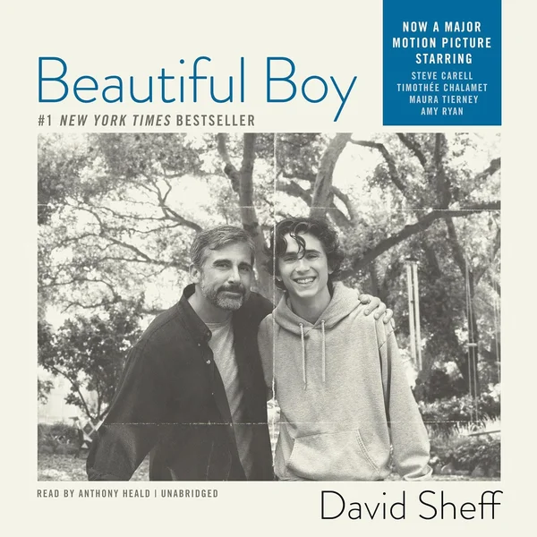 Beautiful Boy: A Father's Journey Through His Son's Addiction
